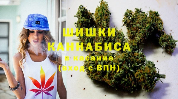 индика Мегион