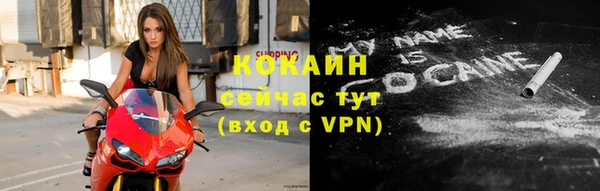 индика Мегион