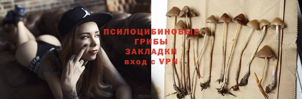 мдпв Апатиты