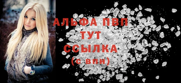 индика Мегион