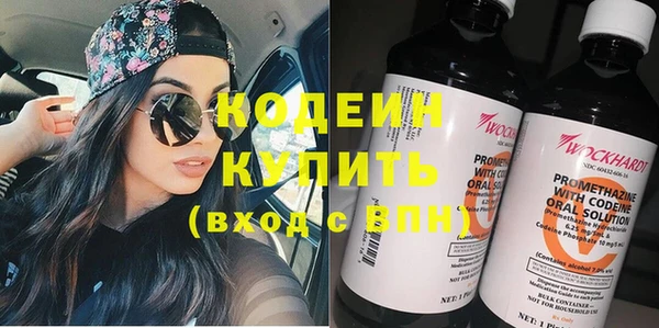 индика Мегион