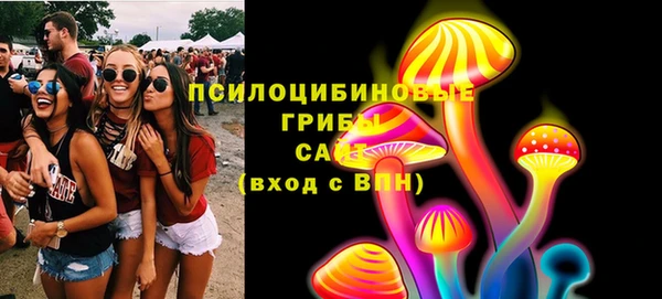 амф Анива