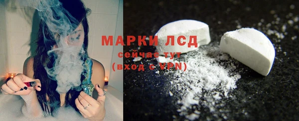 индика Мегион