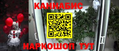 крисы Дубна