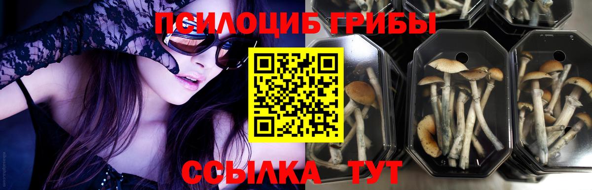 Северодвинск  Псилоцибиновые грибы Psilocybine cubensis  Галлюциногенные грибы ЛСД  Вход с VPN 